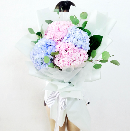 HYDREANGEA BOUQUET(VD43)